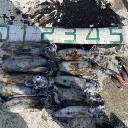 2025 佐渡ヶ島エギング Vol.19【9月27日】